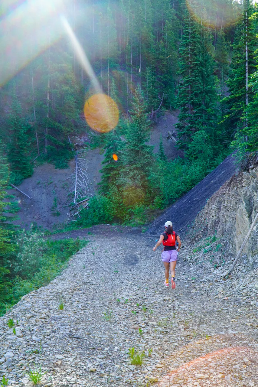 Panorama_WILDness Day 2_2025 (15)