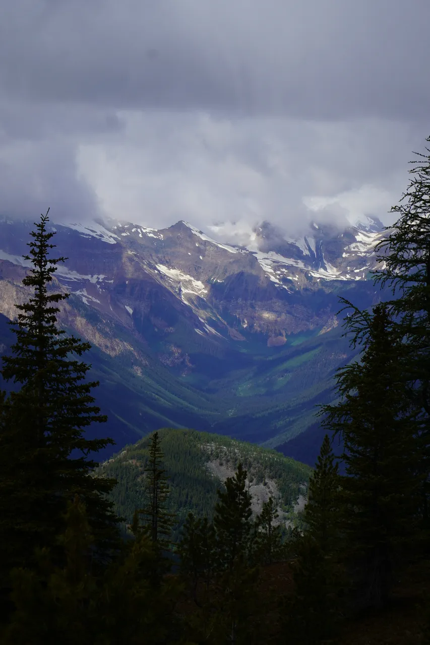 Panorama_WILDness Day 1_2025 (45)