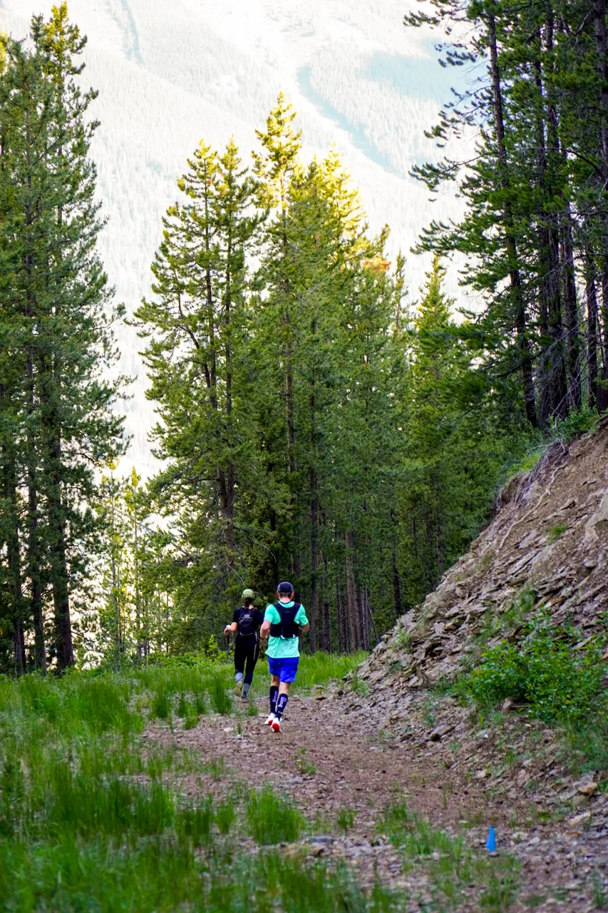 Panorama_WILDness Day 2_2025 (16)