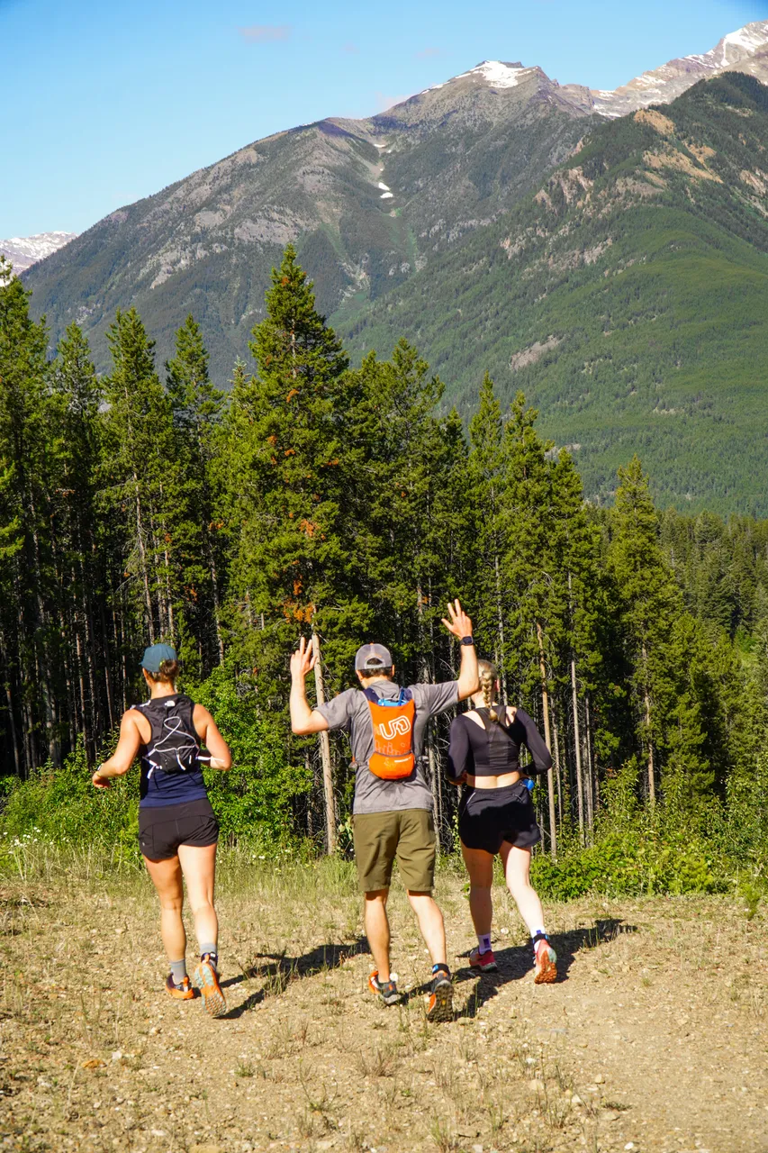 Panorama_WILDness Day 2_2025 (49)