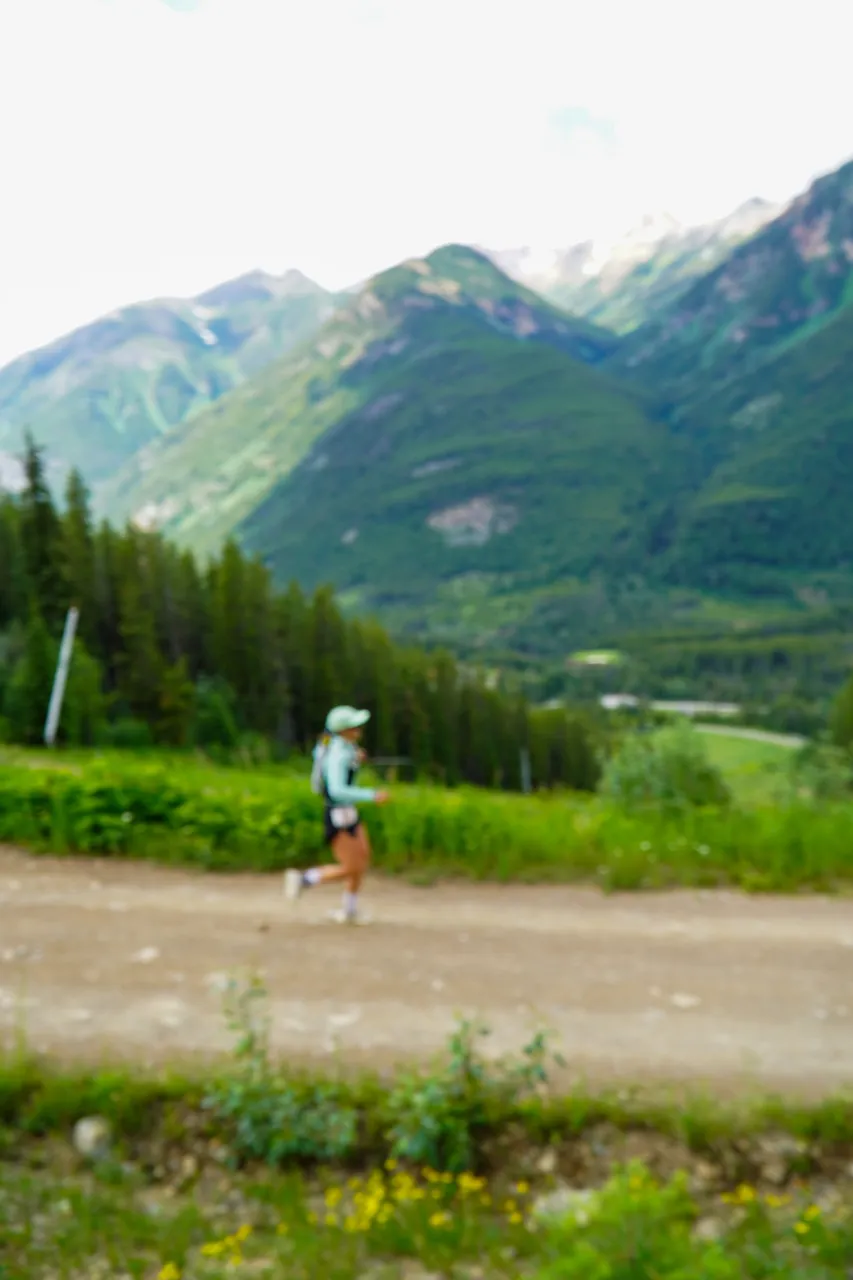 Panorama_WILDness Day 1_2025 (76)