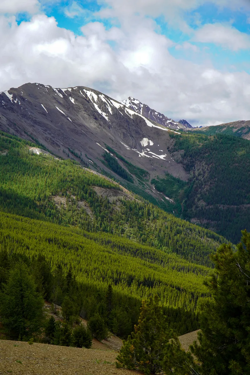 Panorama_WILDness Day 1_2025 (46)