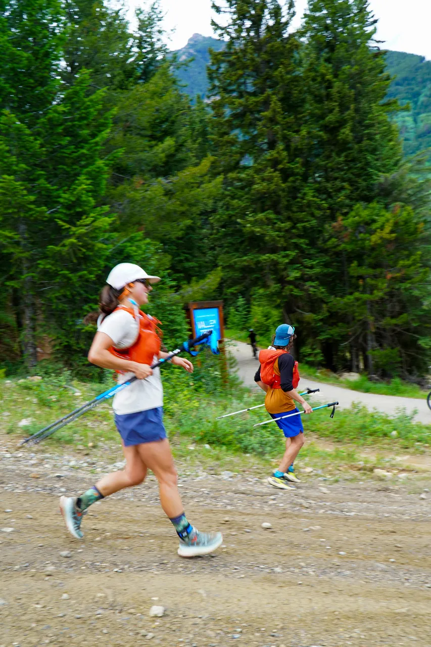 Panorama_WILDness Day 1_2025 (99)