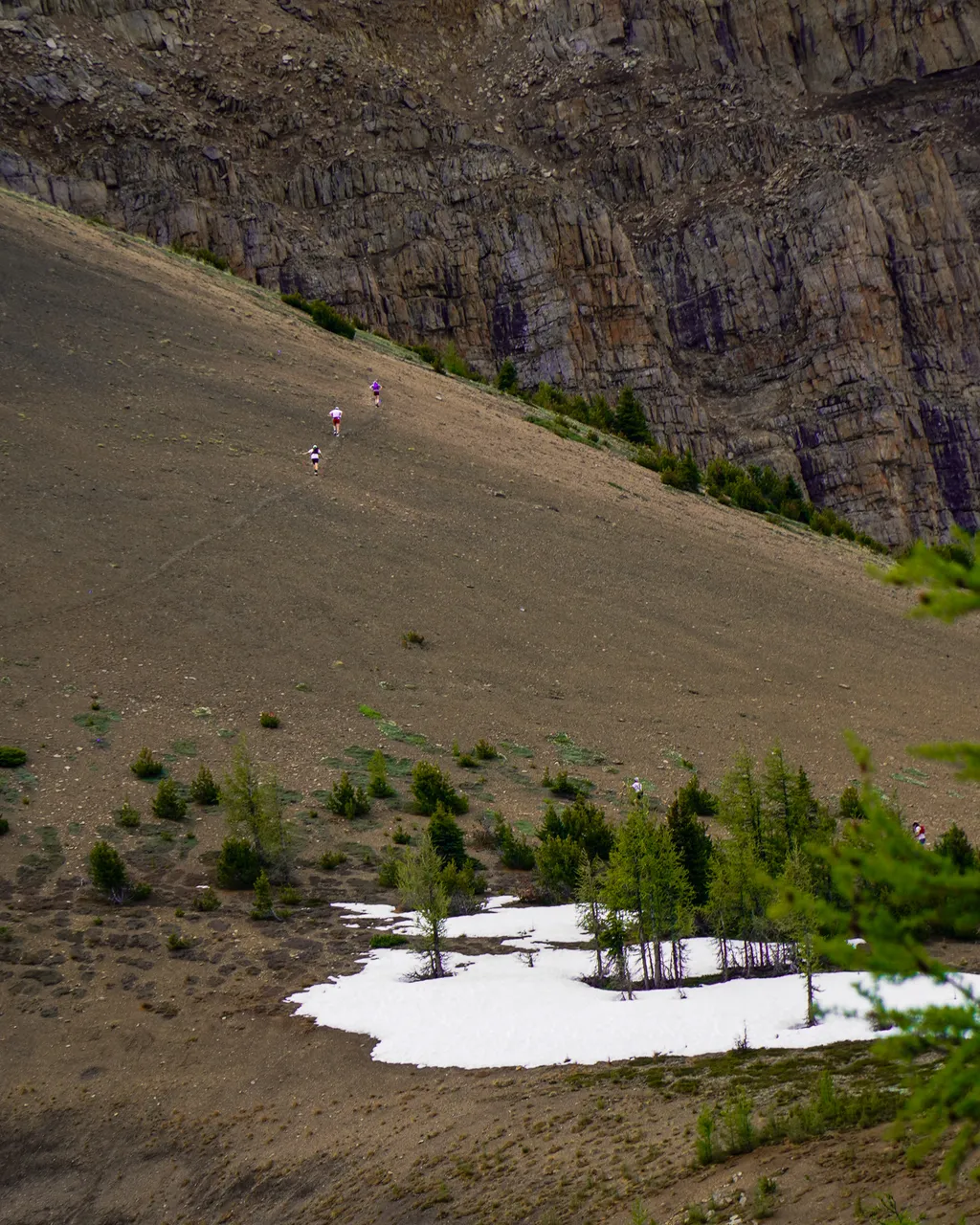Panorama_WILDness Day 1_2025 (22)