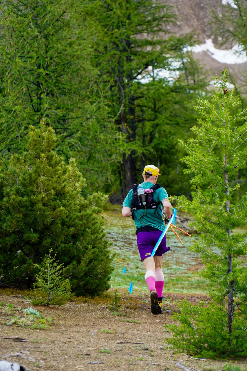 Panorama_WILDness Day 1_2025 (27)
