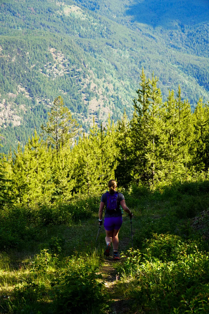 Panorama_WILDness Day 2_2025 (30)