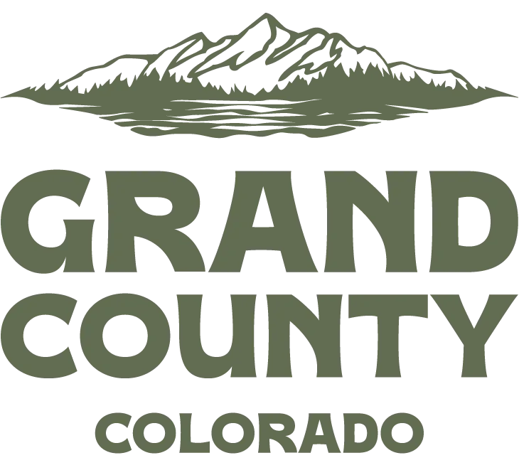 Album cover Brand Assets