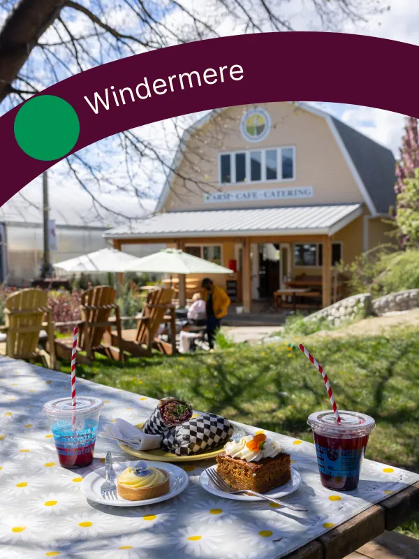 Collection cover Windermere