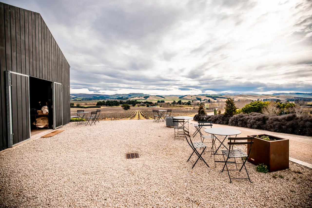 Black Estate Winery_LSDW9934